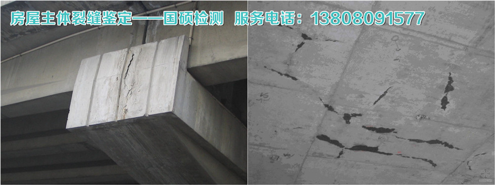 2025年澳门原料1688大全